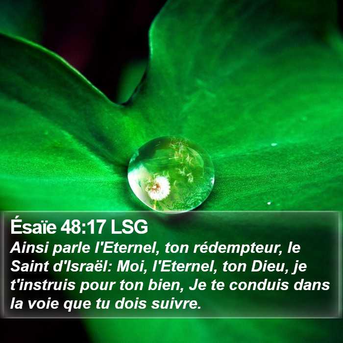 Ésaïe 48:17 LSG Bible Study