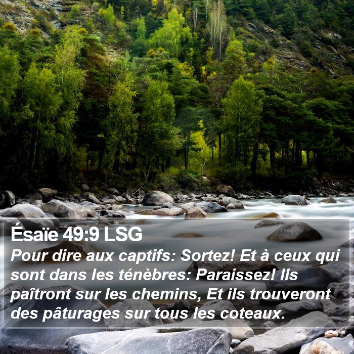 Ésaïe 49:9 LSG Bible Study