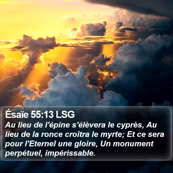 Ésaïe 55:13 LSG Bible Study