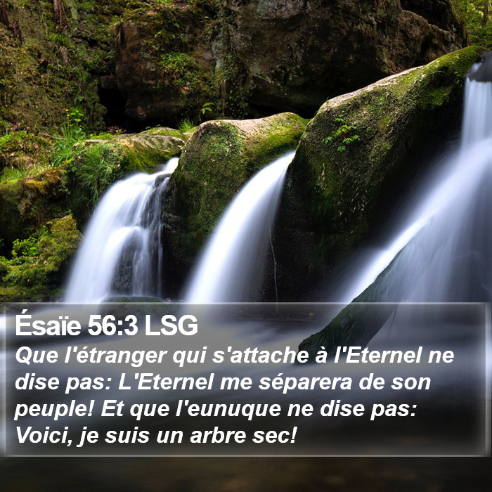 Ésaïe 56:3 LSG Bible Study