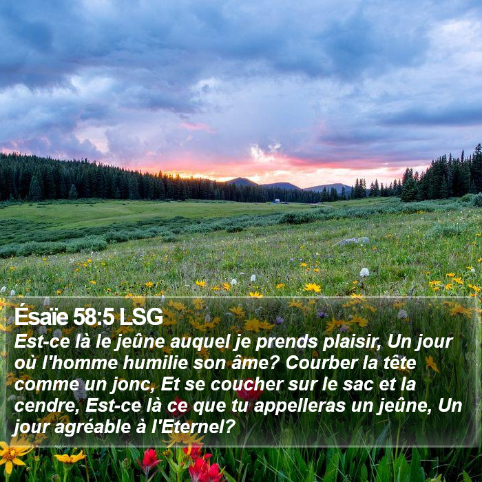 Ésaïe 58:5 LSG Bible Study