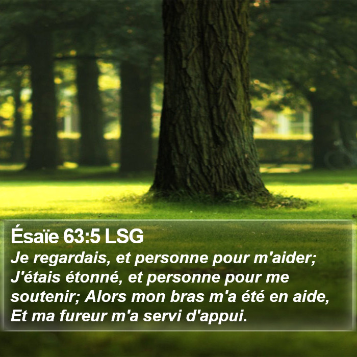 Ésaïe 63:5 LSG Bible Study