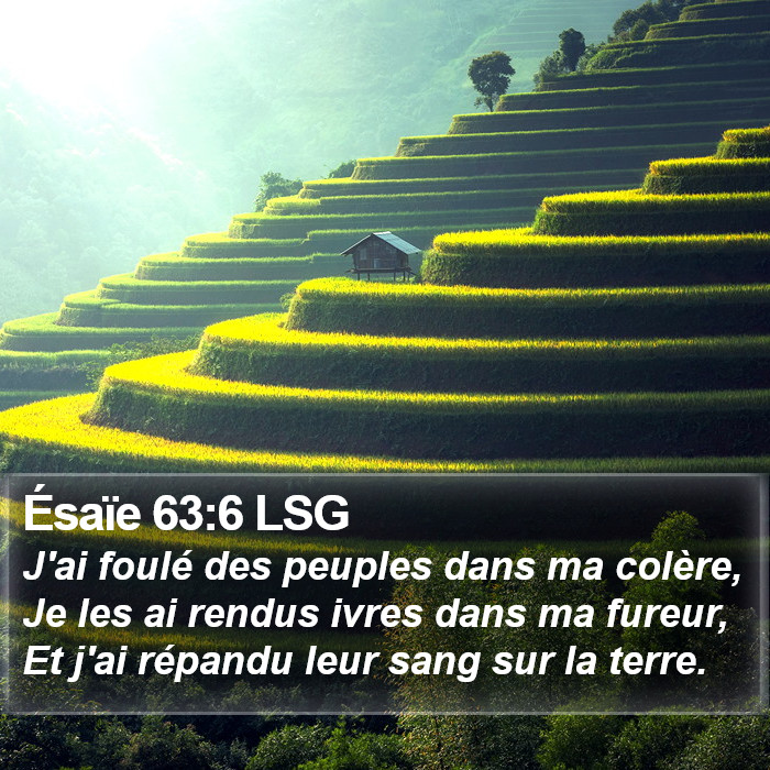 Ésaïe 63:6 LSG Bible Study