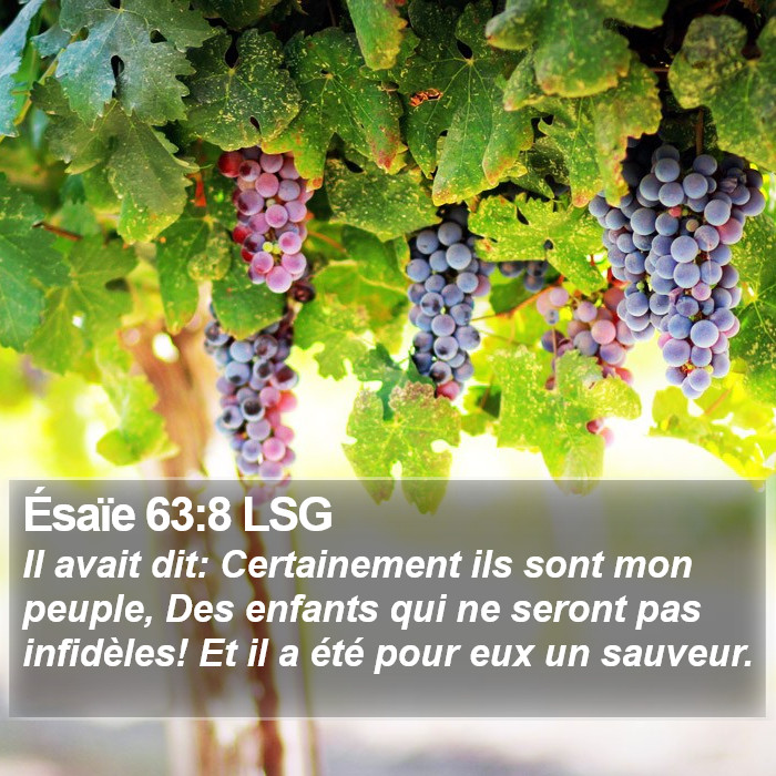 Ésaïe 63:8 LSG Bible Study