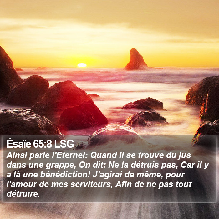 Ésaïe 65:8 LSG Bible Study