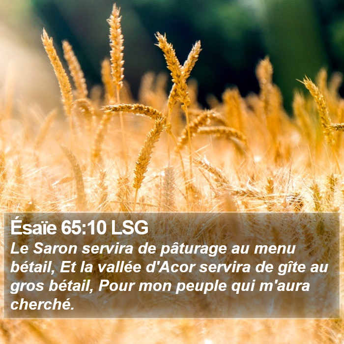 Ésaïe 65:10 LSG Bible Study