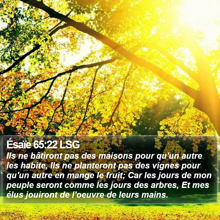 Ésaïe 65:22 LSG Bible Study