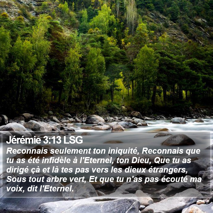 Jérémie 3:13 LSG Bible Study