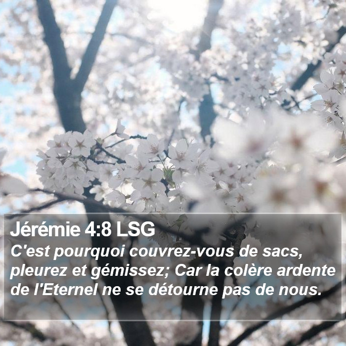 Jérémie 4:8 LSG Bible Study