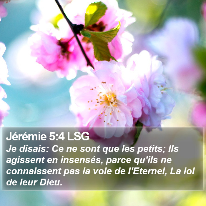 Jérémie 5:4 LSG Bible Study