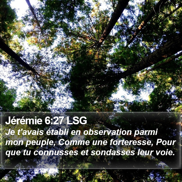 Jérémie 6:27 LSG Bible Study