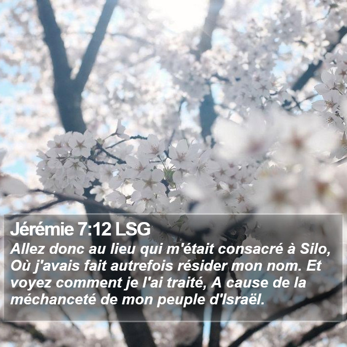 Jérémie 7:12 LSG Bible Study