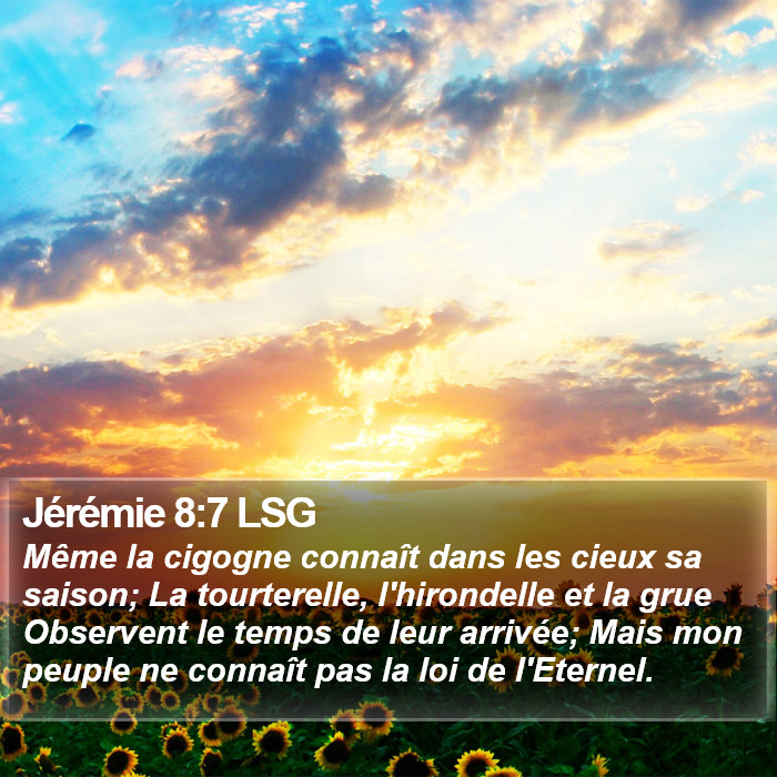 Jérémie 8:7 LSG Bible Study