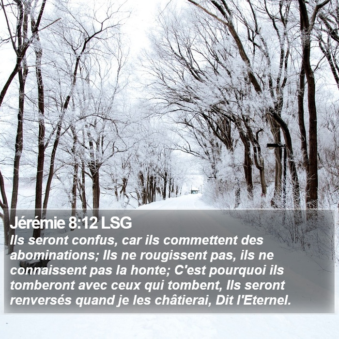 Jérémie 8:12 LSG Bible Study