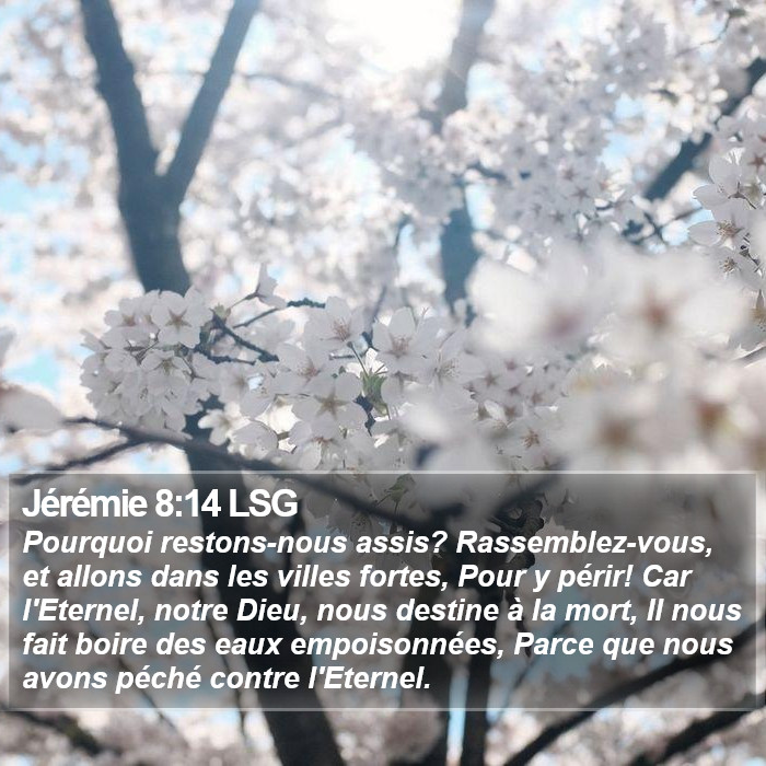 Jérémie 8:14 LSG Bible Study