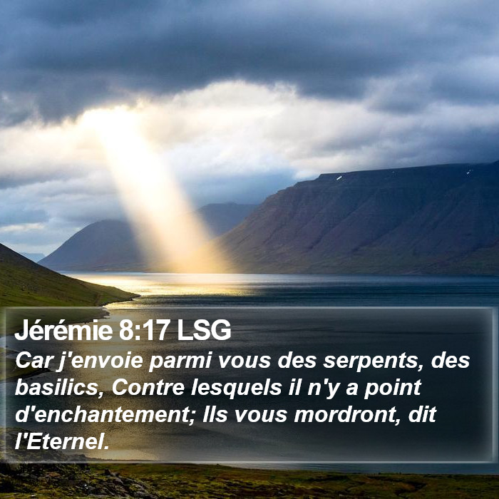 Jérémie 8:17 LSG Bible Study