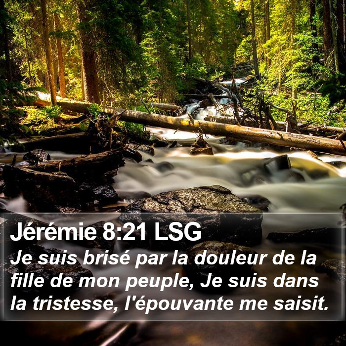 Jérémie 8:21 LSG Bible Study