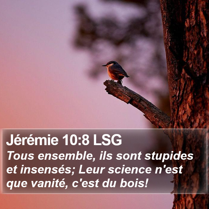 Jérémie 10:8 LSG Bible Study