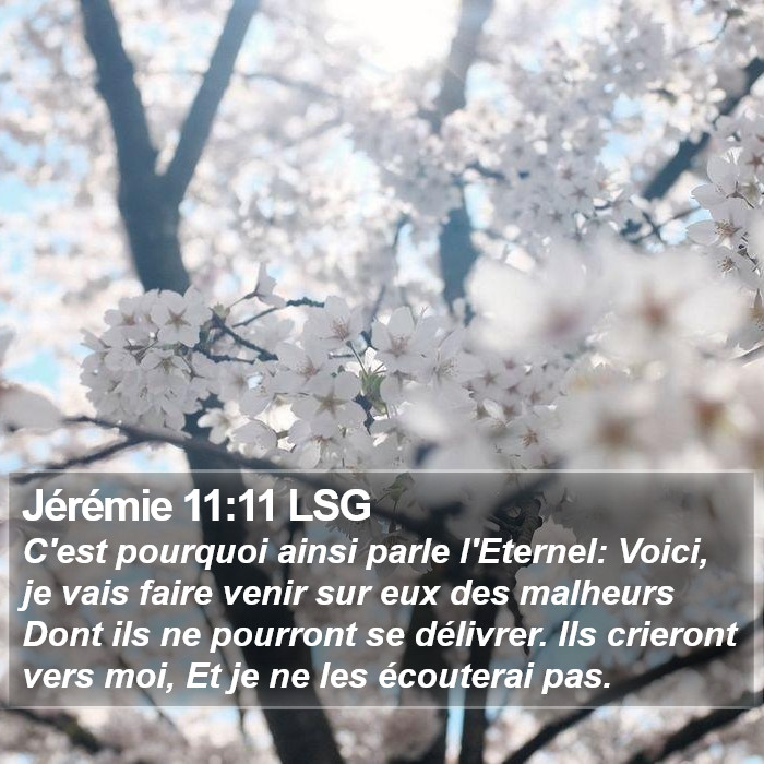 Jérémie 11:11 LSG Bible Study