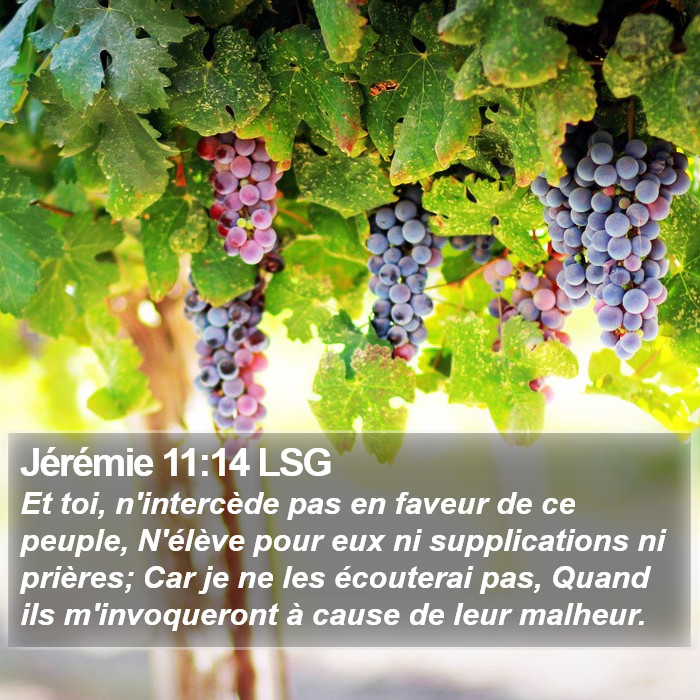 Jérémie 11:14 LSG Bible Study