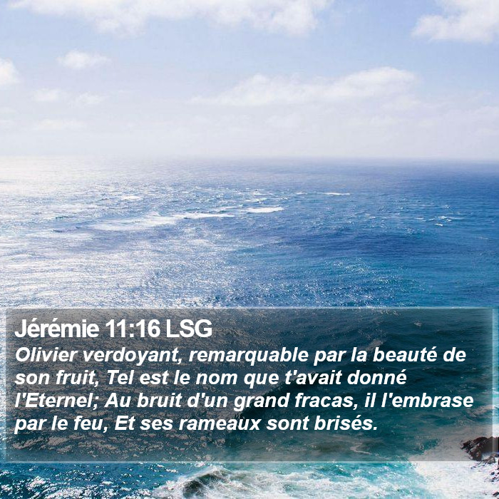 Jérémie 11:16 LSG Bible Study