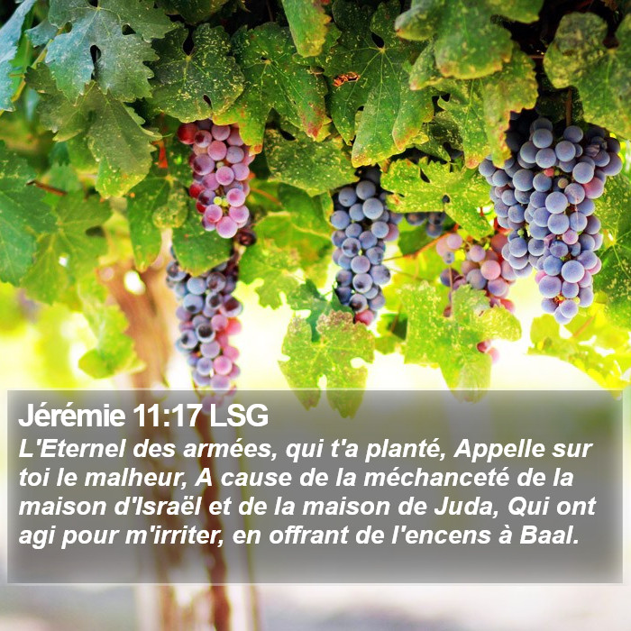 Jérémie 11:17 LSG Bible Study