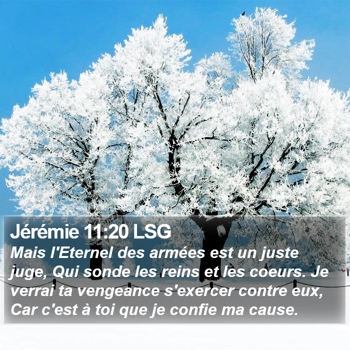 Jérémie 11:20 LSG Bible Study