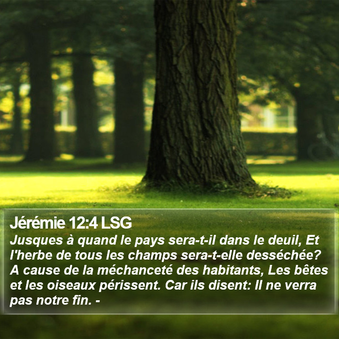 Jérémie 12:4 LSG Bible Study