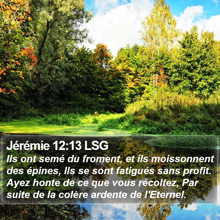 Jérémie 12:13 LSG Bible Study