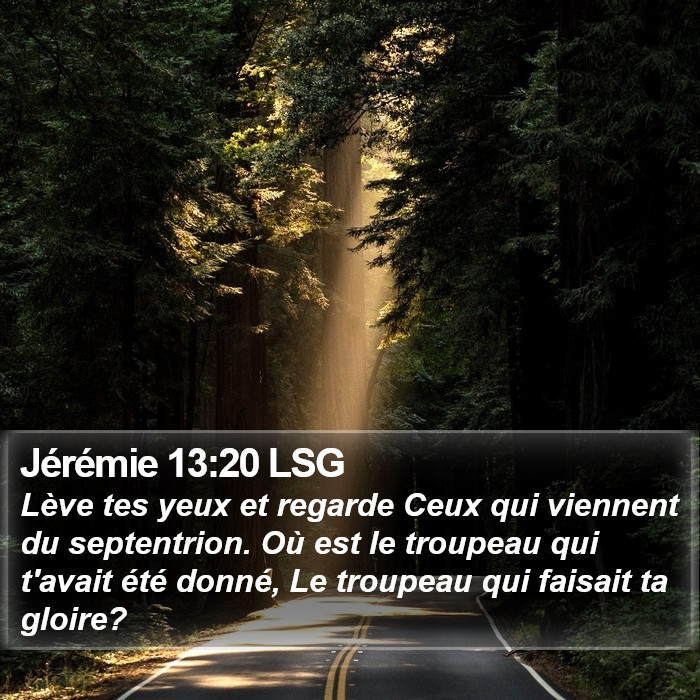 Jérémie 13:20 LSG Bible Study