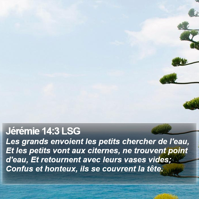 Jérémie 14:3 LSG Bible Study