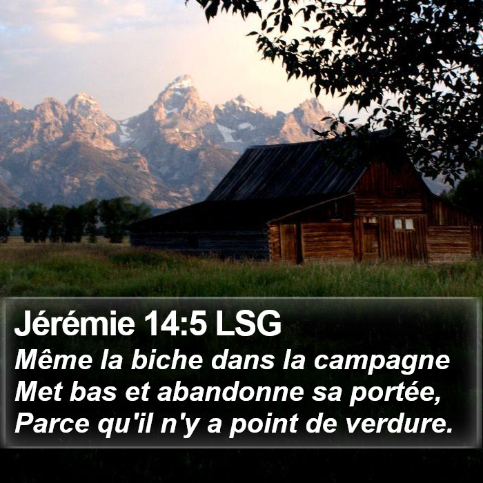 Jérémie 14:5 LSG Bible Study