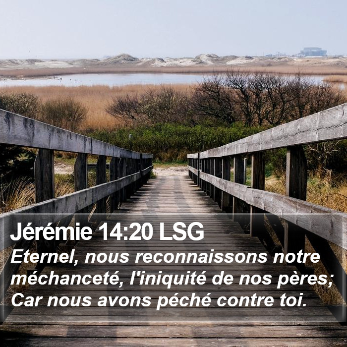 Jérémie 14:20 LSG Bible Study