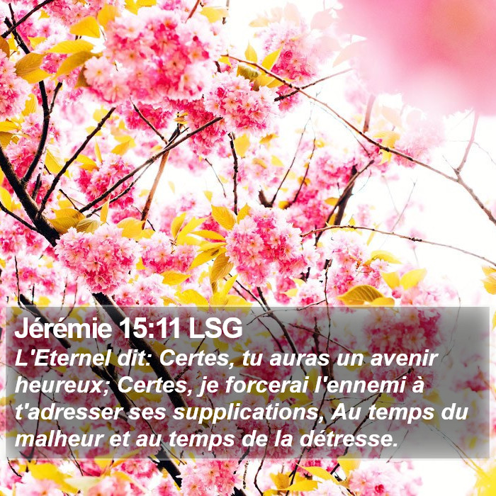 Jérémie 15:11 LSG Bible Study
