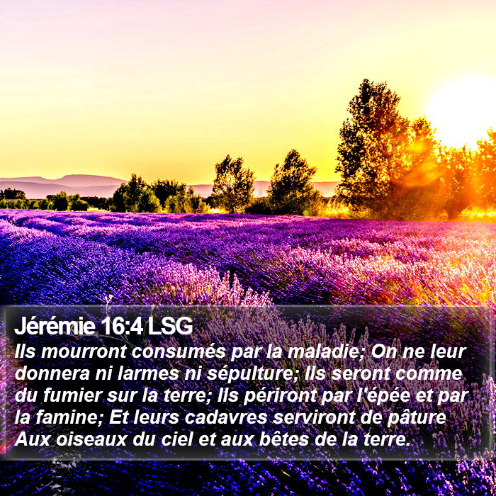 Jérémie 16:4 LSG Bible Study