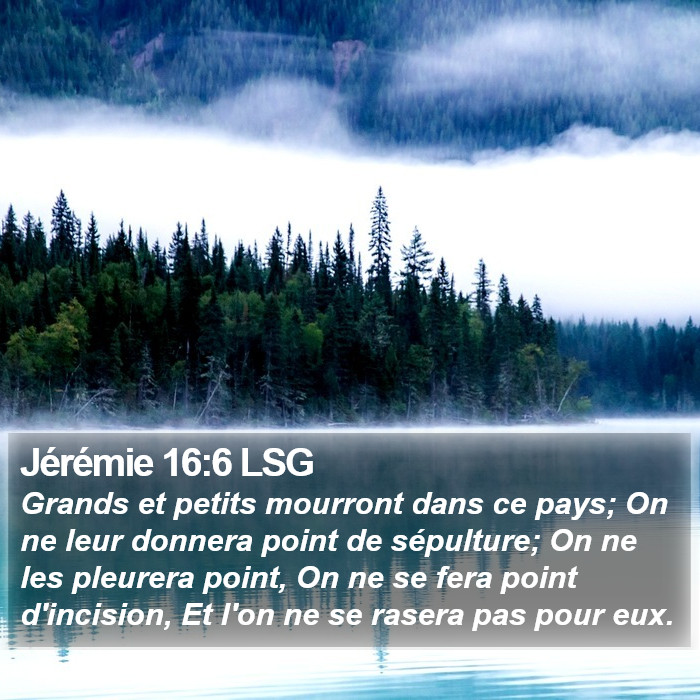 Jérémie 16:6 LSG Bible Study