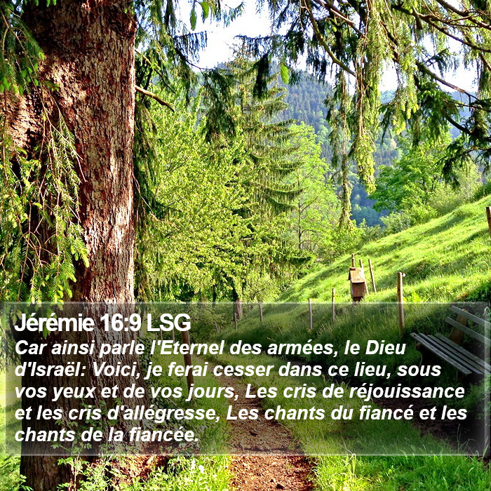 Jérémie 16:9 LSG Bible Study