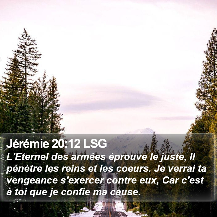 Jérémie 20:12 LSG Bible Study