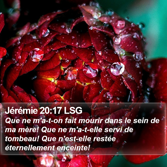 Jérémie 20:17 LSG Bible Study
