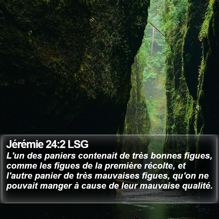 Jérémie 24:2 LSG Bible Study