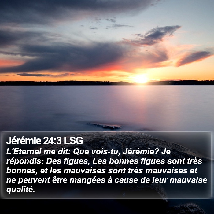 Jérémie 24:3 LSG Bible Study