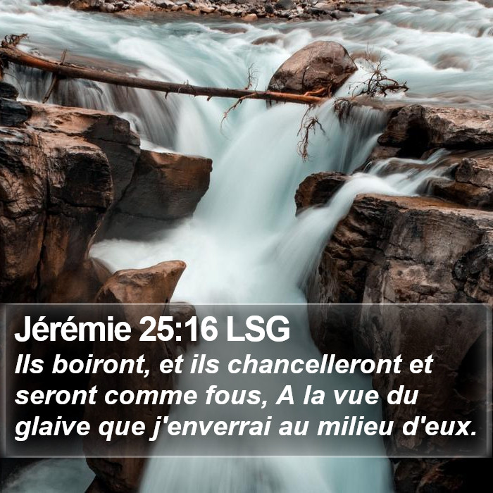 Jérémie 25:16 LSG Bible Study