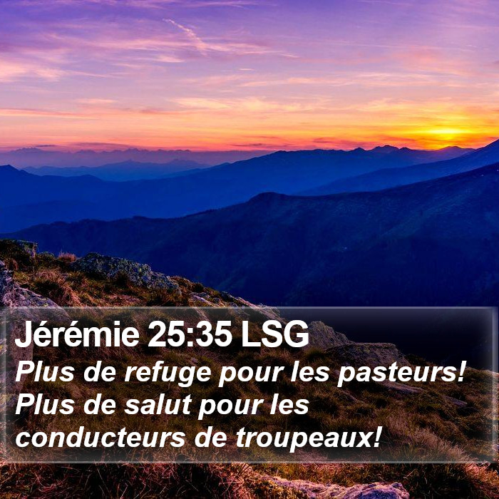 Jérémie 25:35 LSG Bible Study
