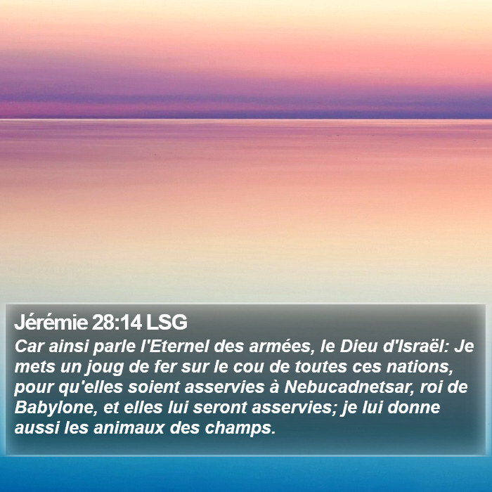 Jérémie 28:14 LSG Bible Study