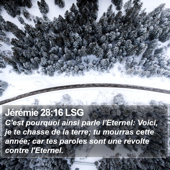Jérémie 28:16 LSG Bible Study