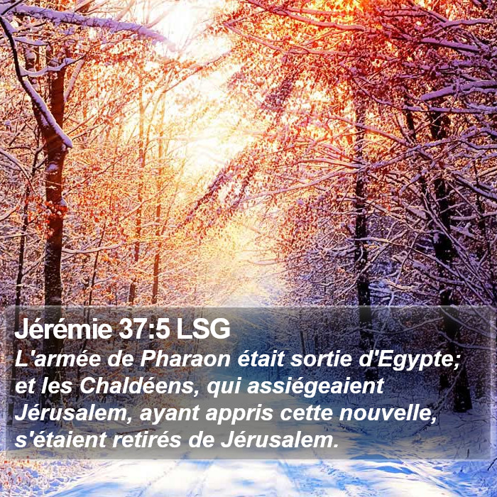 Jérémie 37:5 LSG Bible Study