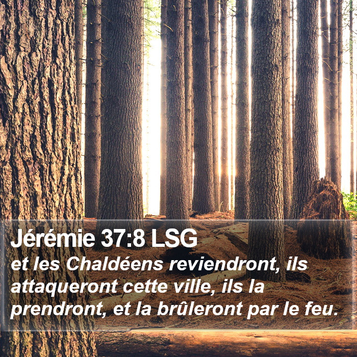 Jérémie 37:8 LSG Bible Study