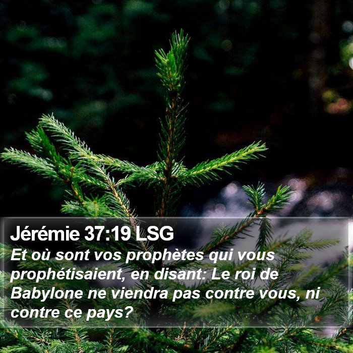 Jérémie 37:19 LSG Bible Study