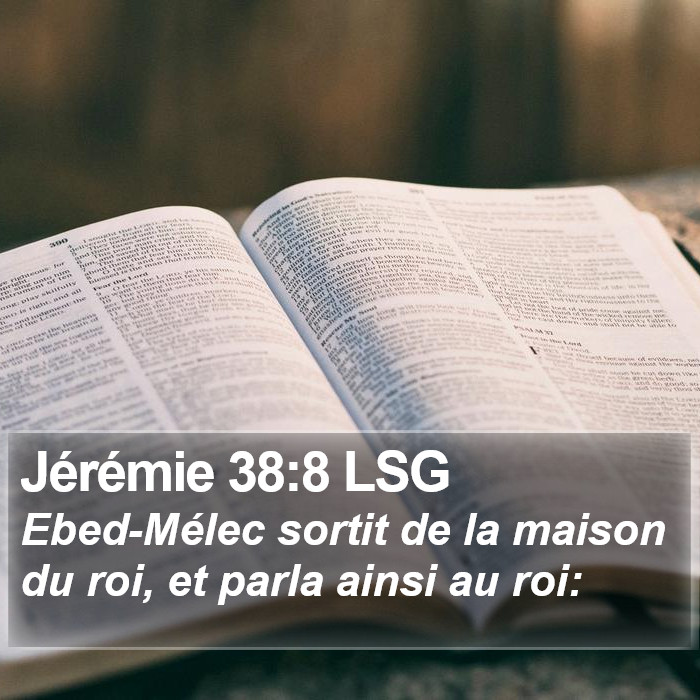 Jérémie 38:8 LSG Bible Study