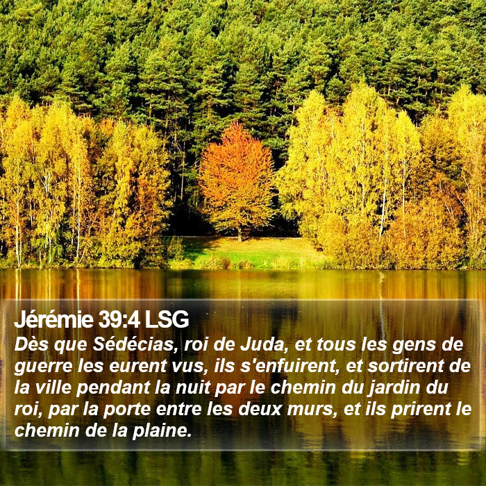 Jérémie 39:4 LSG Bible Study